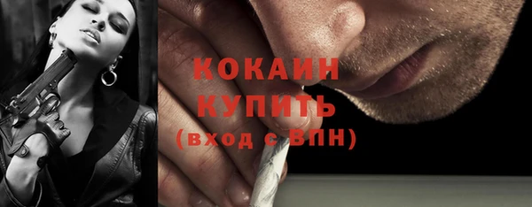 СК Алексин