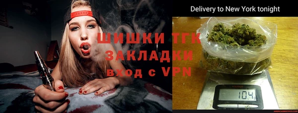 СК Алексин