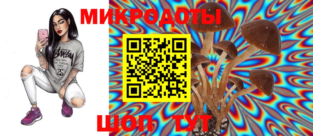 Псилоцибиновые грибы GOLDEN TEACHER Нарьян-Мар